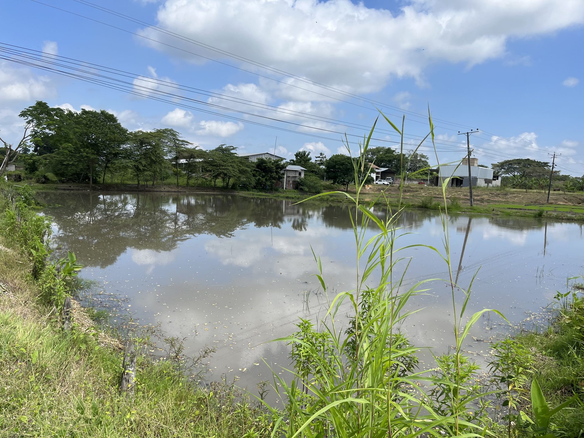 Predio agroindustrial en Santa Lucía - Guayas