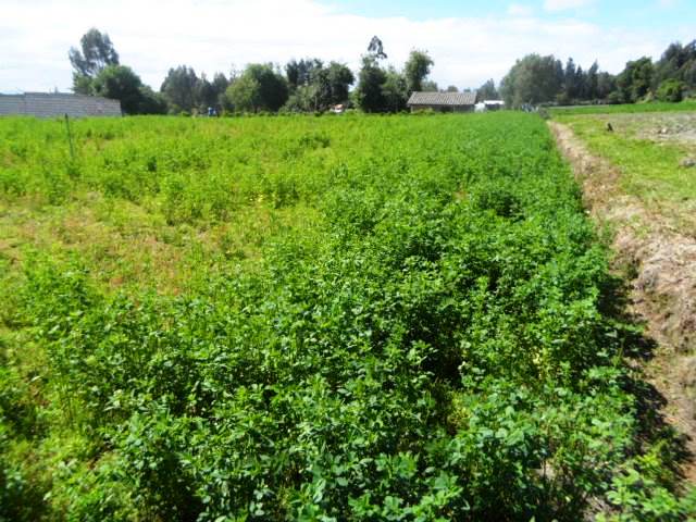 Lote rural en Pastocalle - Latacunga