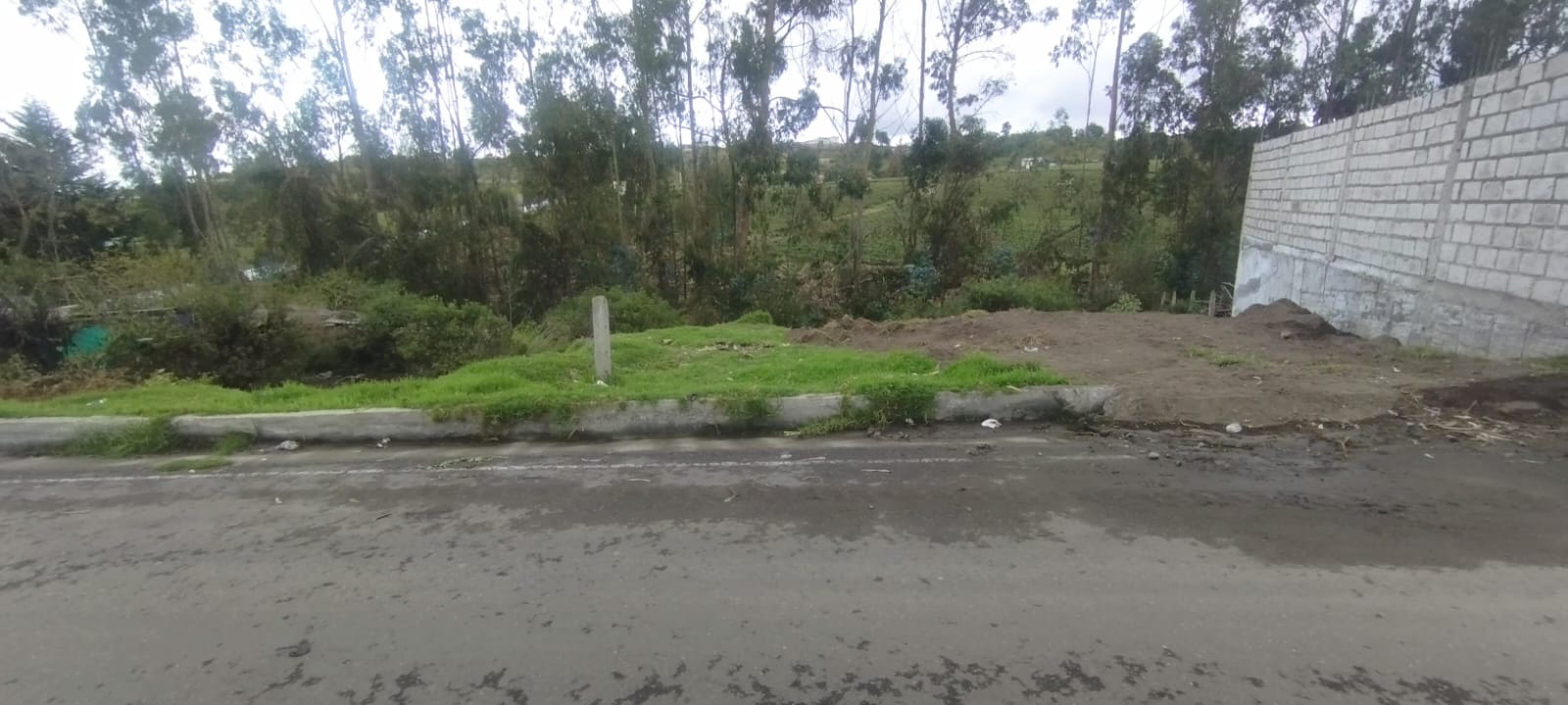 Terreno rural en Santa Rosa - Ambato