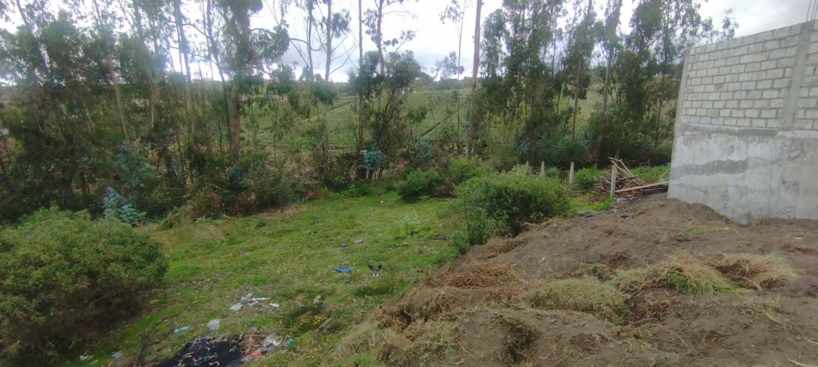 Terreno rural en Santa Rosa - Ambato