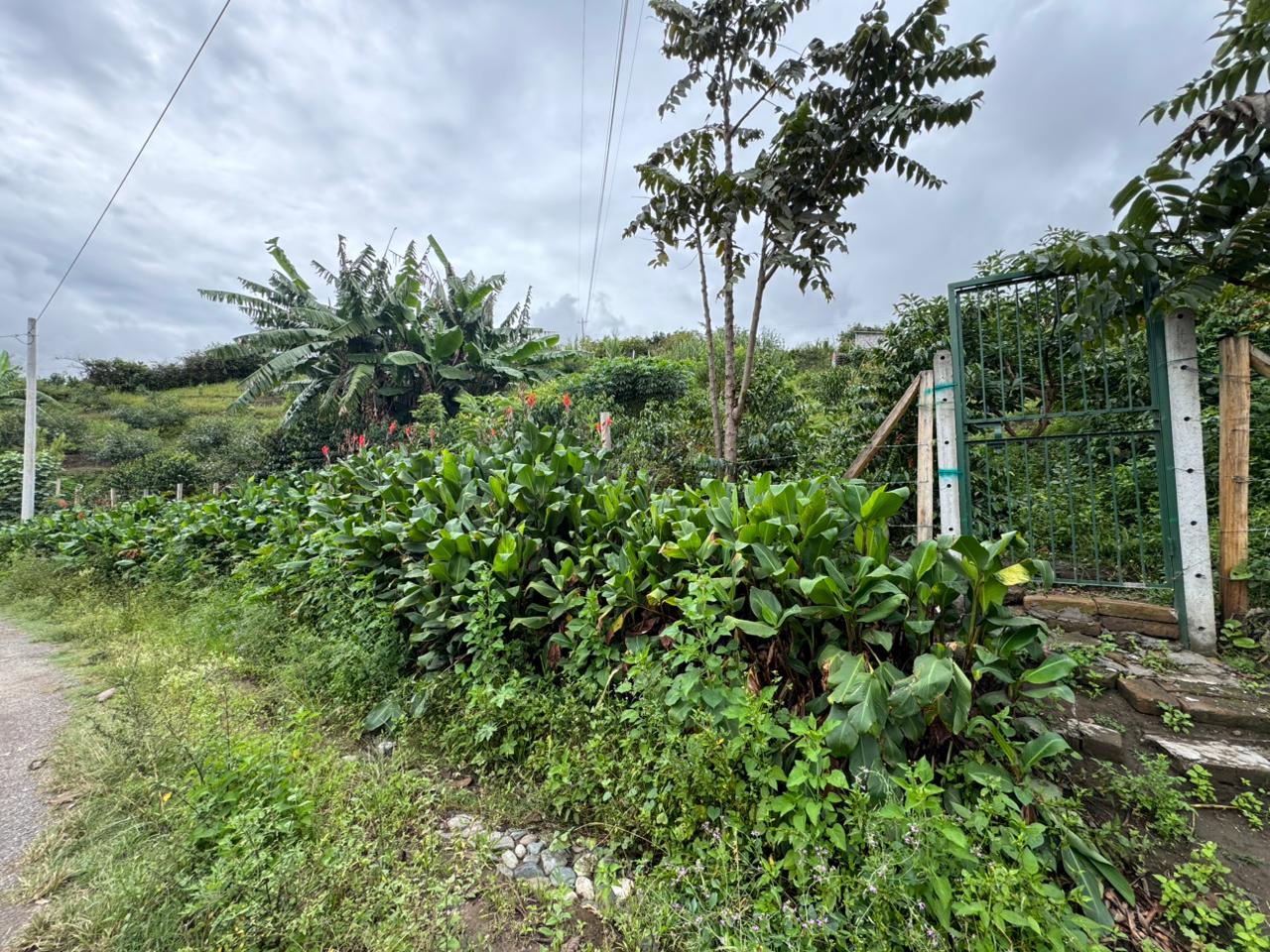 Terreno con dos casas - Pimampiro