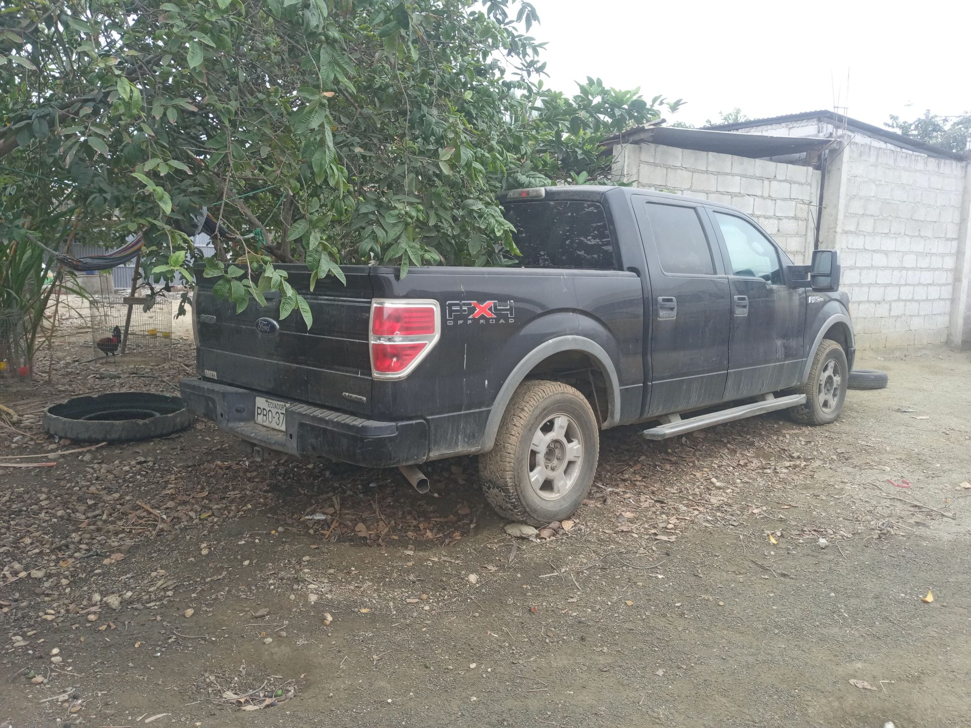 Ford f 150 super crew 4x4 w1e 2010 · Regular