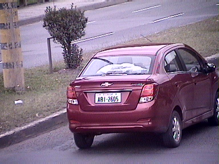 ANT · 13 May, 2019