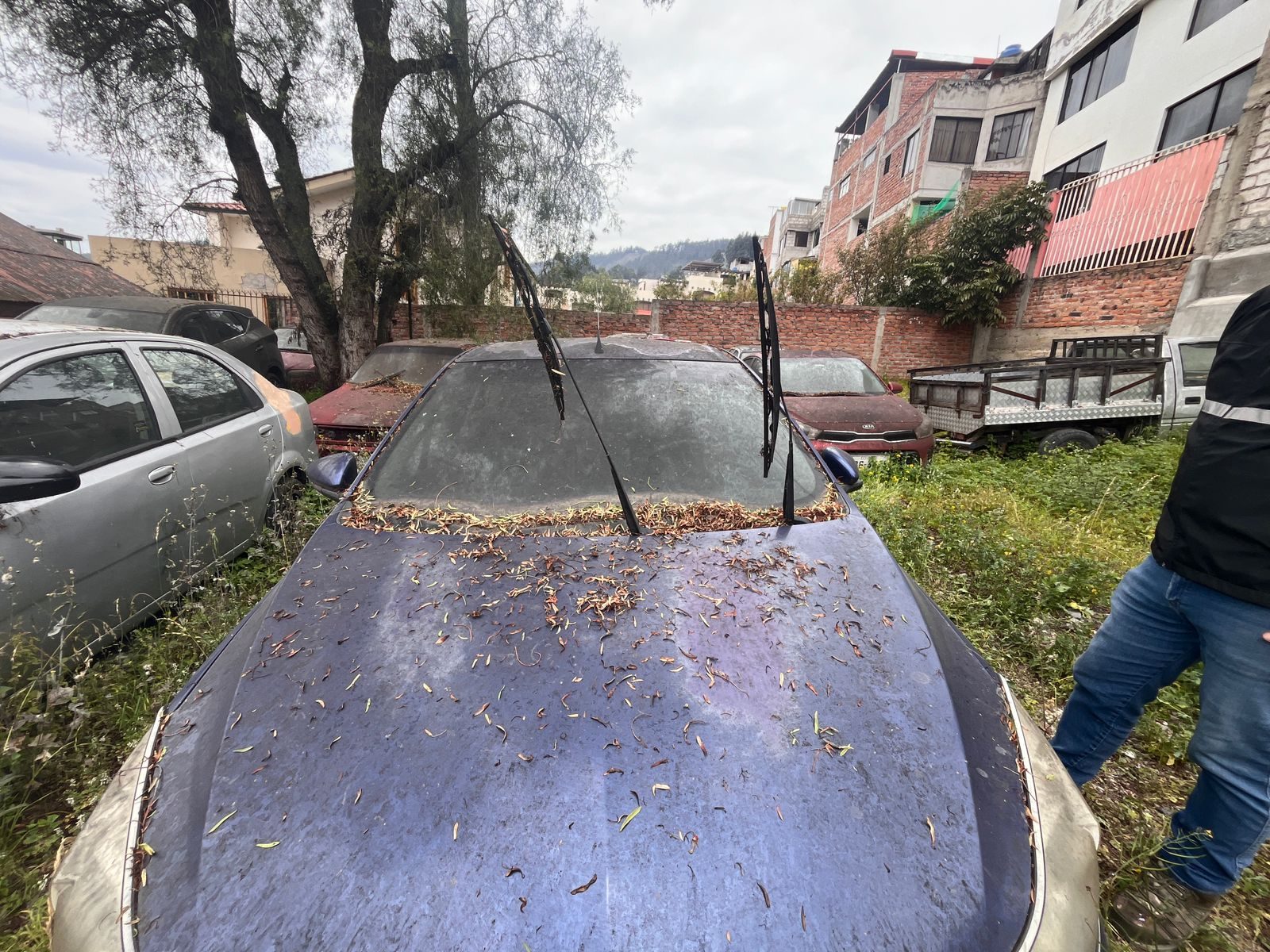 Chevrolet Sail 2019 - Ambato