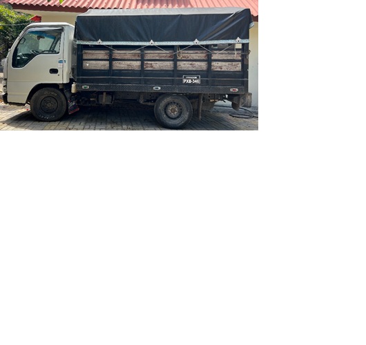 Chevrolet NHR 2007 - Santa Isabel