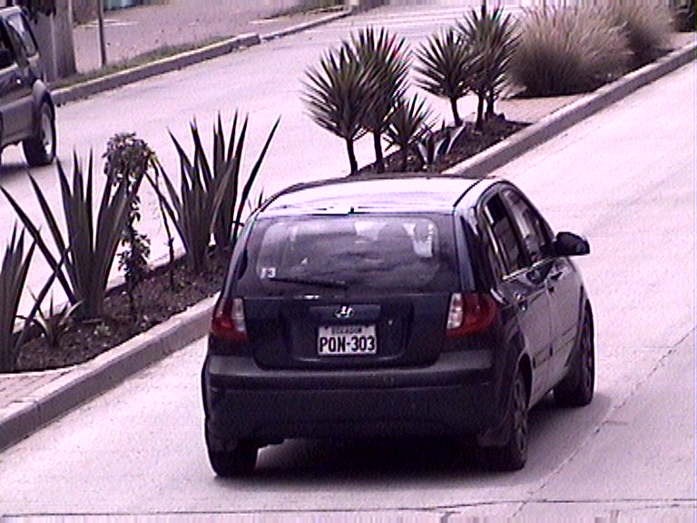 ANT · 29 Mar, 2020